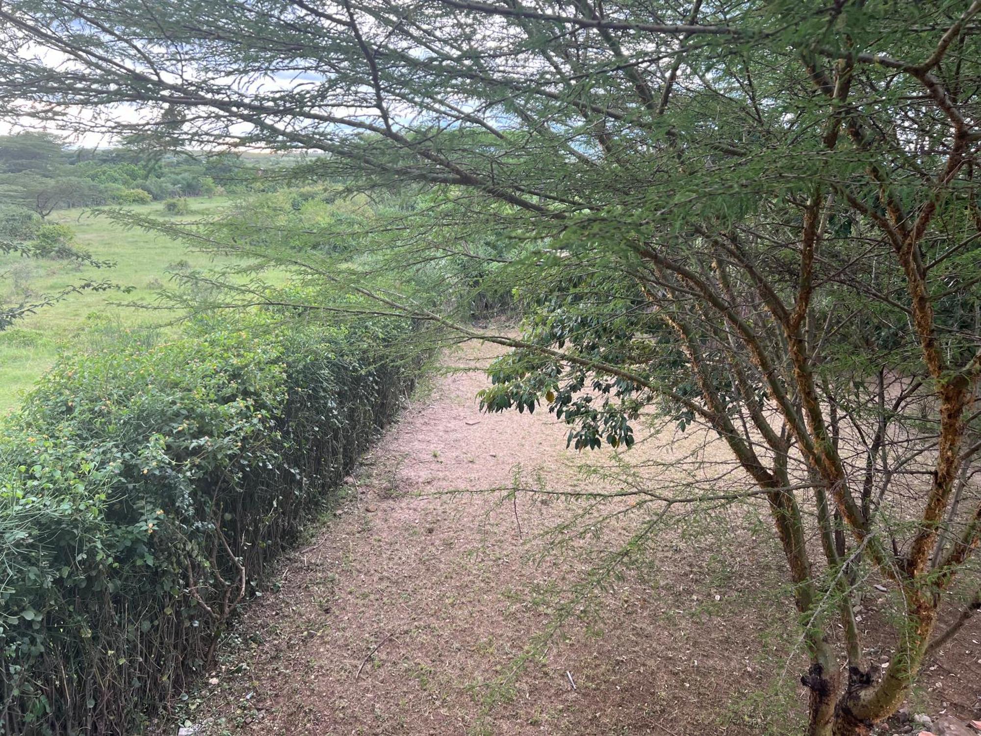 Olaloi Mara Camp Villa Maasai Mara Exterior foto